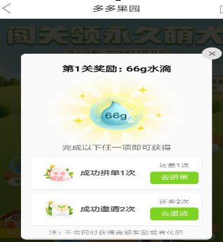 拼多多果園中怎么養狗？拼多多果園養狗的方法說明