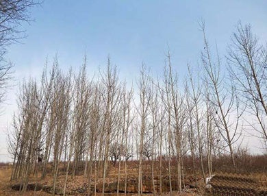 美圖秀秀怎么為圖片調(diào)色？為圖片調(diào)色的方法說(shuō)明