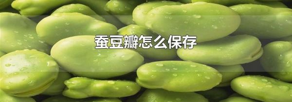 蠶豆瓣怎么保存