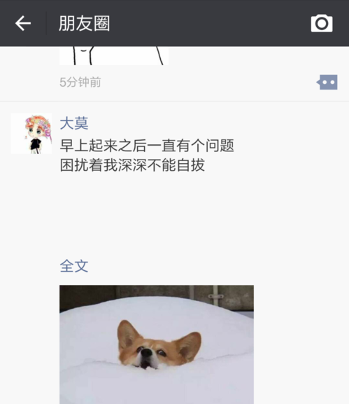 微信圈文字怎么顯示全文_微信圈查看全文方式大全