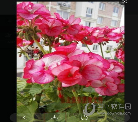 微信網頁版如何把手機圖片傳輸到電腦上 傳照片到電腦方法介紹