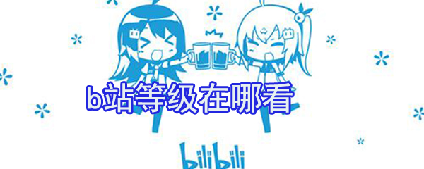 b站等級在哪看_b站經驗值查看方式大全