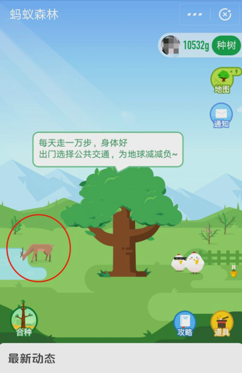 支付寶螞蟻森林首頁(yè)小鹿獲取方法