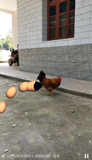 抖音下蛋特效在哪里設置