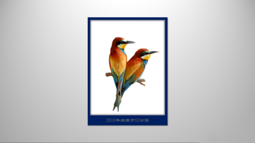 PPT制作出立體邊框具體操作方法