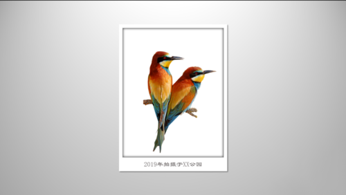 PPT制作出立體邊框具體操作方法