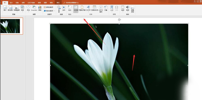 使用PPT制作出動(dòng)態(tài)文字具體操作流程