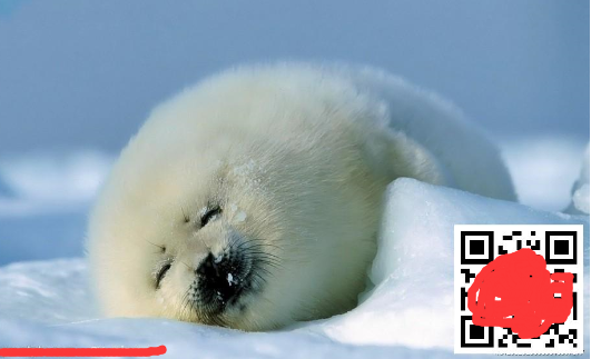 Java基于zxing生成二維碼矩陣過程解析