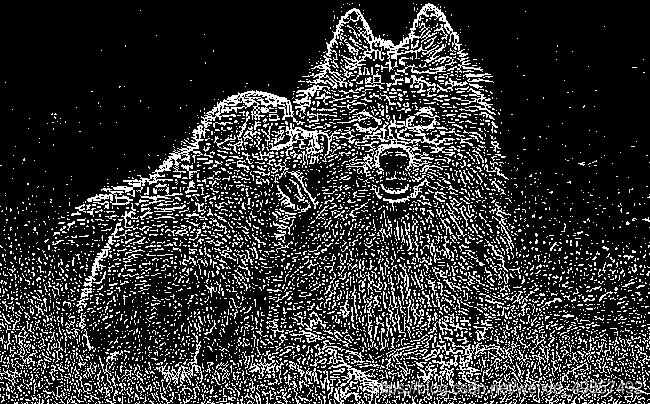 Java swing 圖像處理多種效果實(shí)現(xiàn)教程