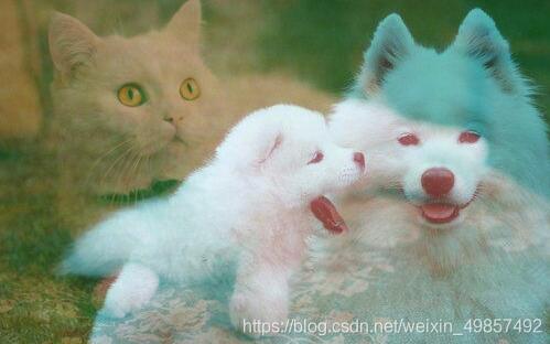 Java swing 圖像處理多種效果實(shí)現(xiàn)教程