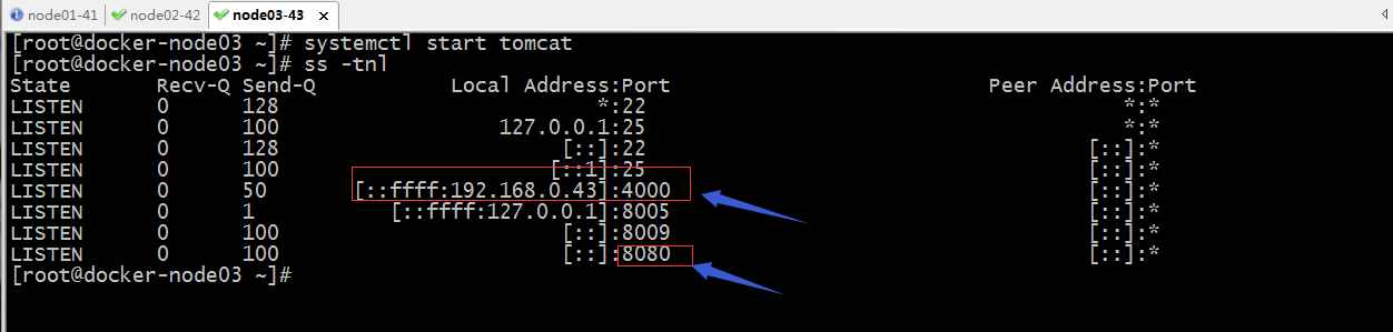 Java應用服務器之tomcat會話復制集群配置的示例詳解