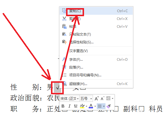 wps中方框內打勾詳細操作流程