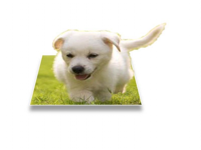 使用ppt制作出3d立體效果圖片具體操作方法