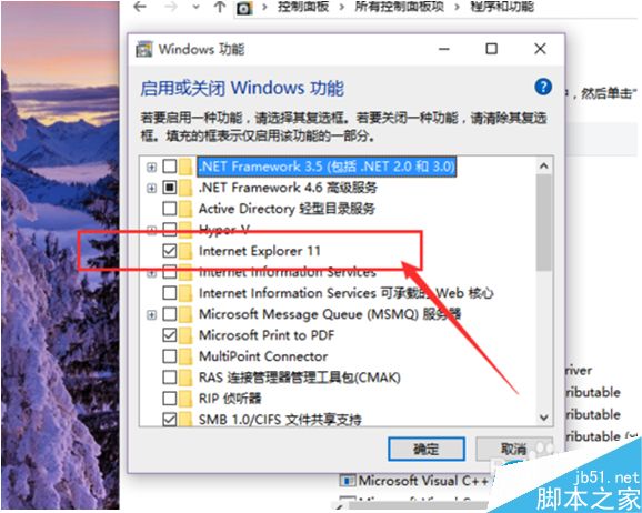 Win10系統(tǒng)怎么卸載IE瀏覽器？Win10系統(tǒng)卸載IE瀏覽器教程