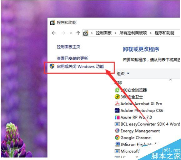 Win10系統(tǒng)怎么卸載IE瀏覽器？Win10系統(tǒng)卸載IE瀏覽器教程