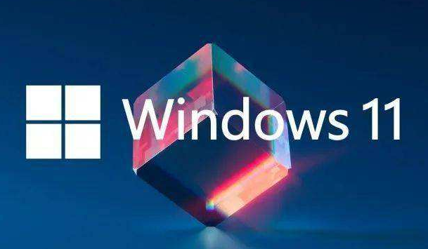 Windows11修改網(wǎng)絡(luò)IP地址教程分享