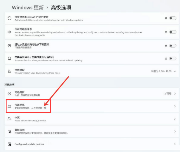 Windows11打開傳遞優化功能教程分享