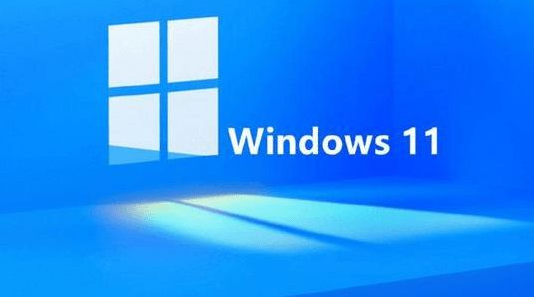 Windows11打開變量值數方法介紹