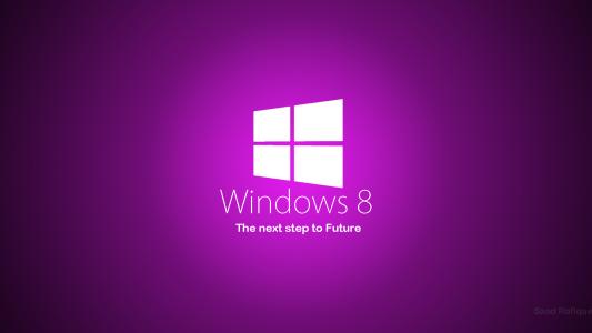 win8系統出現flash插件加載失敗具體解決方法