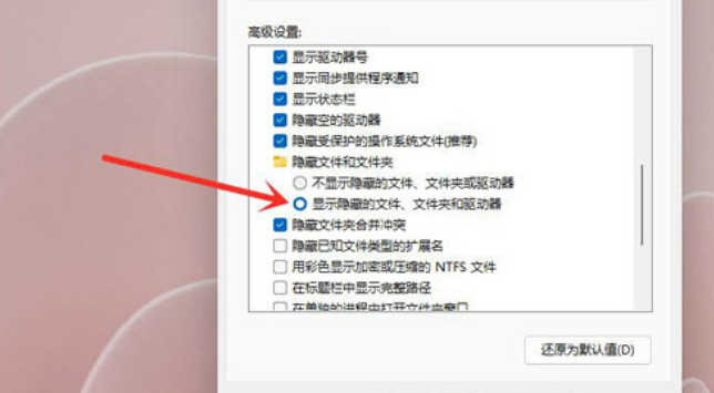 Windows11隱秘項(xiàng)目查看教程分享