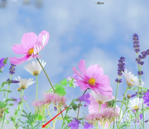 window10任務欄消失了怎么辦？