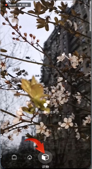 支付寶中使用掃一掃識別花草具體操作步驟