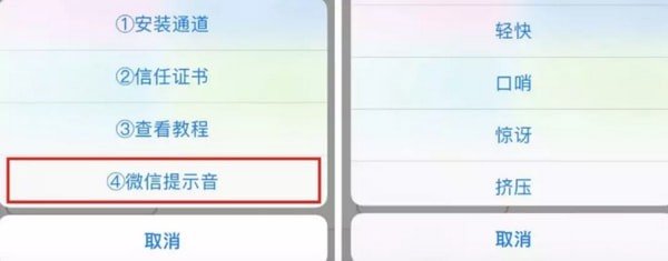 蘋果手機(jī)中更改微信提示音具體操作步驟