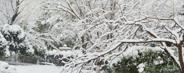 下雪朋友圈文案 下雪朋友圈說說文案