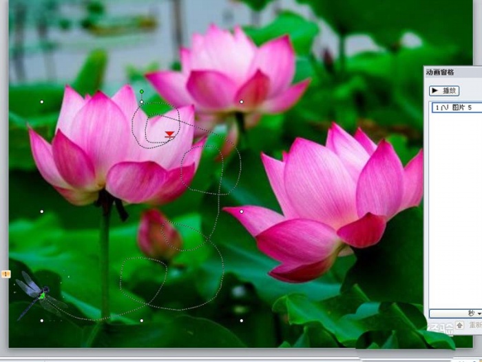 ppt制作出小荷才露尖尖角動畫場景具體操作步驟