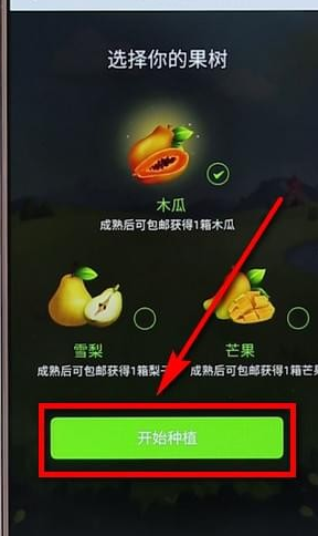 拼多多里多多果園詳細玩法講解