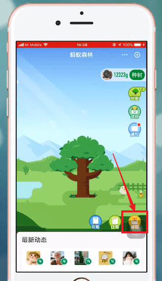 支付寶中螞蟻森林設置不讓別人收取能量具體操作方法