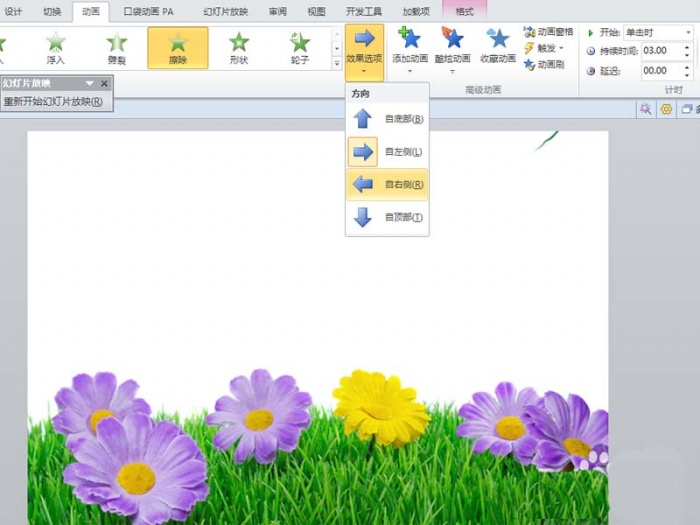 使用ppt制作出柳條生長(zhǎng)動(dòng)畫效果具體操作流程