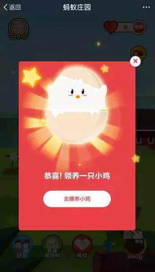 支付寶養雞的好處是什么？支付寶養雞在哪里養？