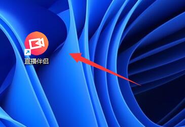 直播伴侶支持win11嗎詳情