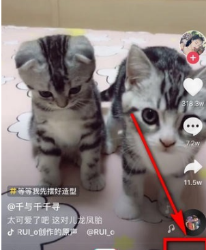 抖音動態(tài)封面設置方法介紹 抖音動態(tài)封面如何設置