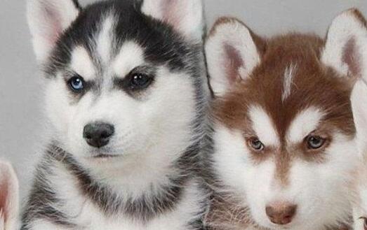 win10顯示器顏色調(diào)整方法