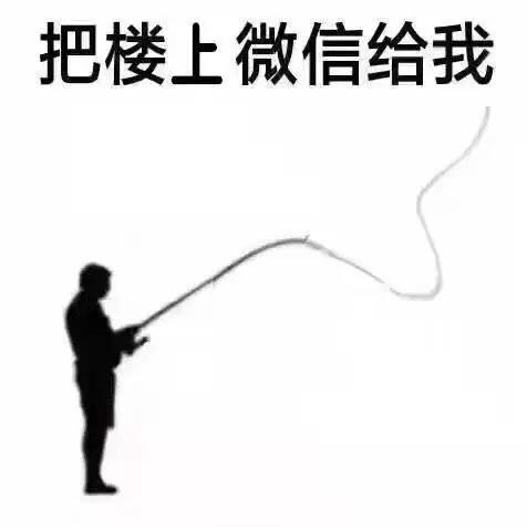 抖音把樓上信息給我表情包   抖音把樓上信息給我表情包分享