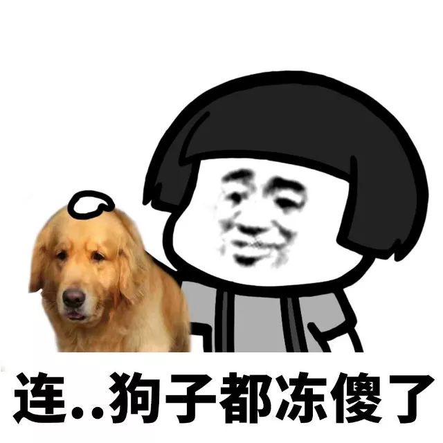 抖音我家床塌了停水了停電了表情包是什么？抖音我家床塌了表情包介紹！