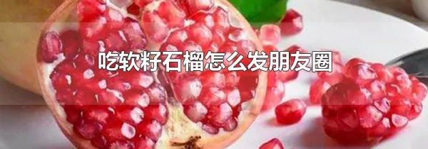 吃軟籽石榴怎么發(fā)朋友圈