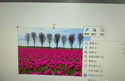 WPS為圖片添加立體棱臺效果具體操作方法
