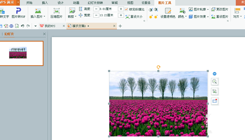 WPS為圖片添加立體棱臺效果具體操作方法