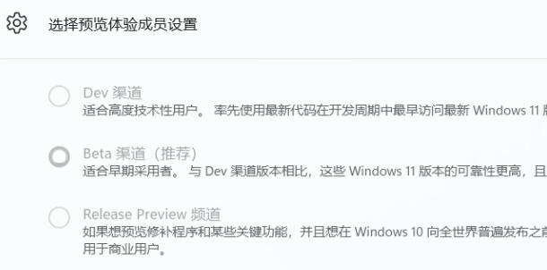 win11體驗成員設置教程