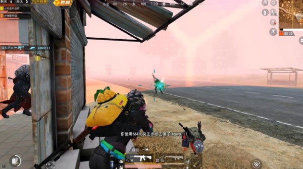 win11是否可以玩和平精英詳細(xì)介紹