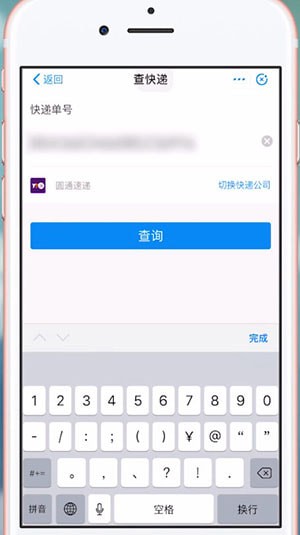 支付寶中查看順豐快遞單號(hào)的具體操作方法