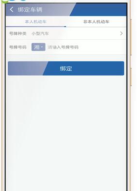 使用交管12123查詢違章圖文操作
