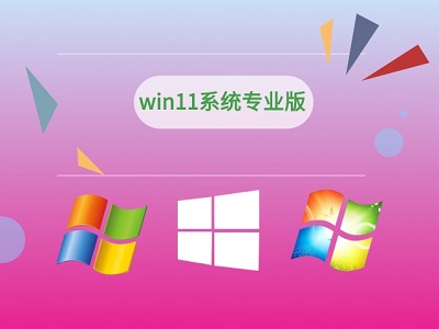 win11家庭版和專業(yè)版的區(qū)別介紹