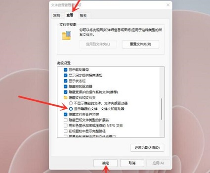 win11隱藏文件打開教程