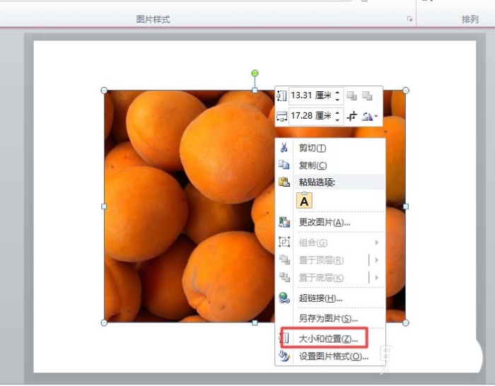 ppt中旋轉圖片具體操作方法