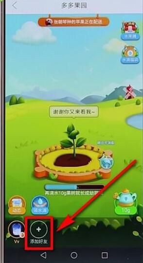 在拼多多多多果園里添加好友基礎(chǔ)操作