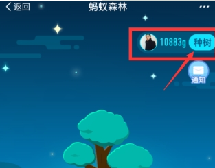 支付寶螞蟻森林環保證書如何獲取 螞蟻森林環保證書獲取教程